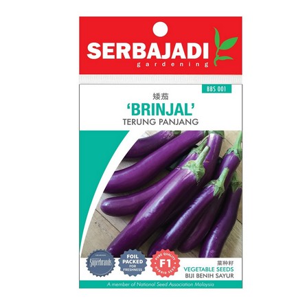 BAJA SERBAJADI BRINJAL VEGETABLE SEED BBS001 1GM