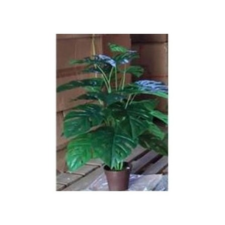 VISTA ASSORTING PLANT IN POT RM55.90