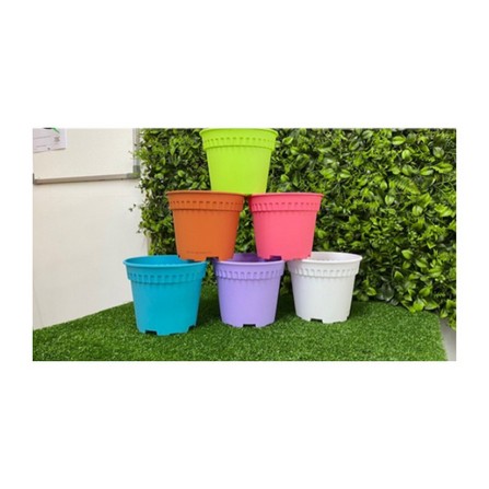 BABA 4RD-150 POT ASSORT COLOR