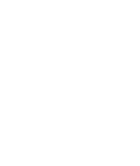 pin-icon