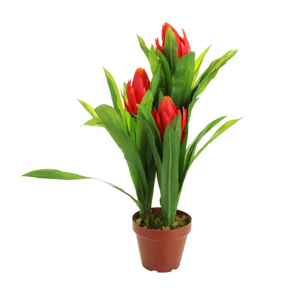 My Image 23