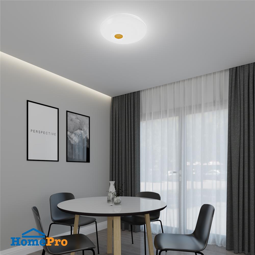 ไฟเพดาน LED CARINI ZY131-L 36 วัตต์ DAYLIGHT สีขาว 19 นิ้ว