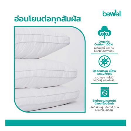 หมอนหนุน BEWELL ERGONOMIC SWE-02 ไซซ์ S_4