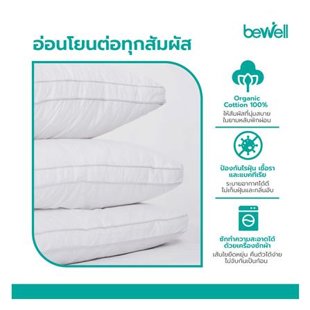 หมอนหนุน BEWELL HYBRIDDOWN SWE-01 ไซซ์ L_4