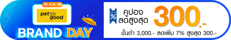 promotion-tag