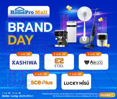 BRAND DAY 