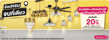 Chandeliers And Ceiling Fans