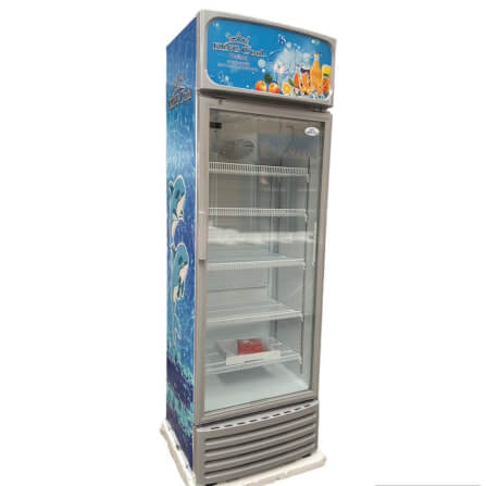 ตู้แช่เย็น Kingcool Dolphin-400 สีขาว_0