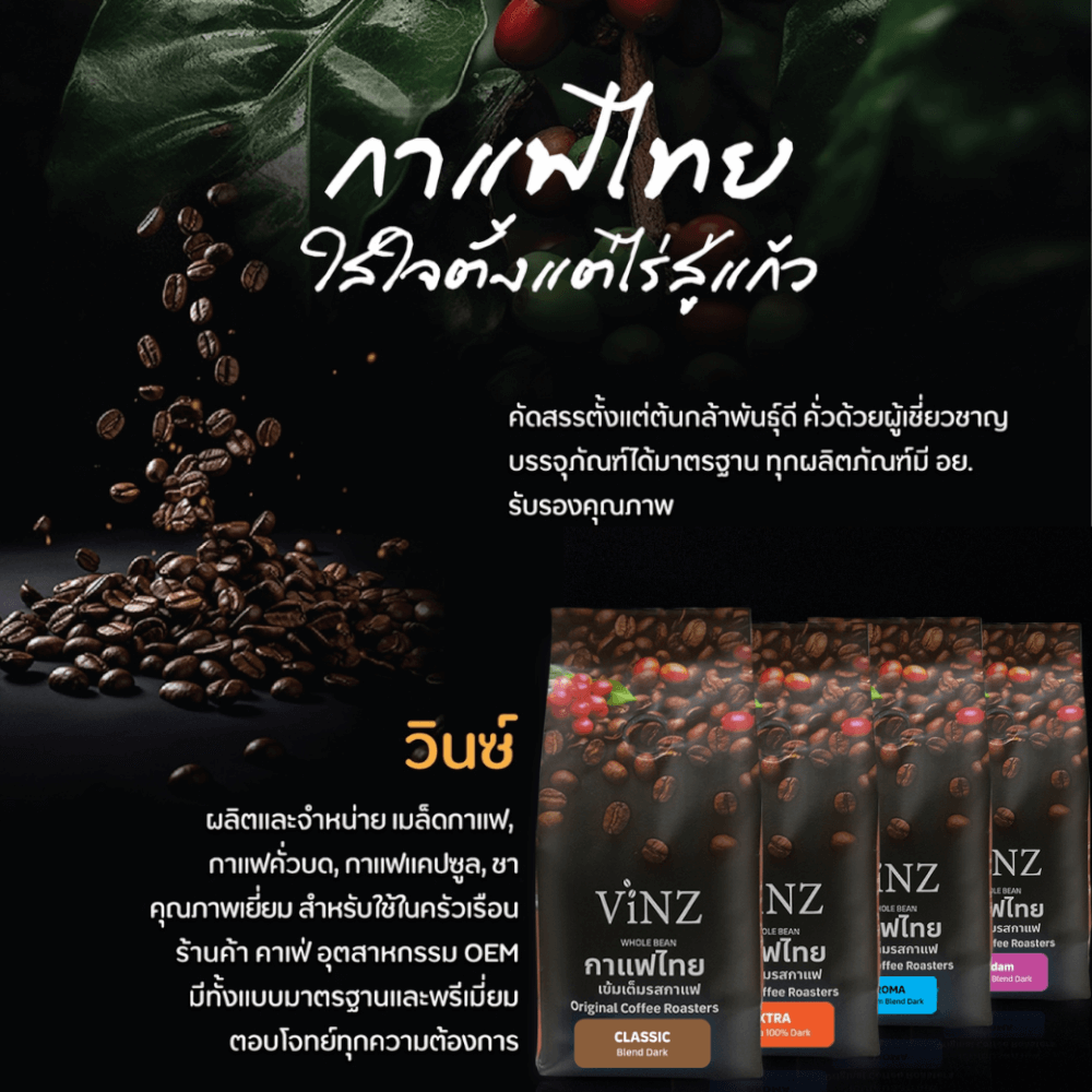 เมล็ดกาแฟ ViNZ ดอยช้าง มาดาม อาราบิก้าเบลนคั่วเข้ม 1 ถุง (250g)_2