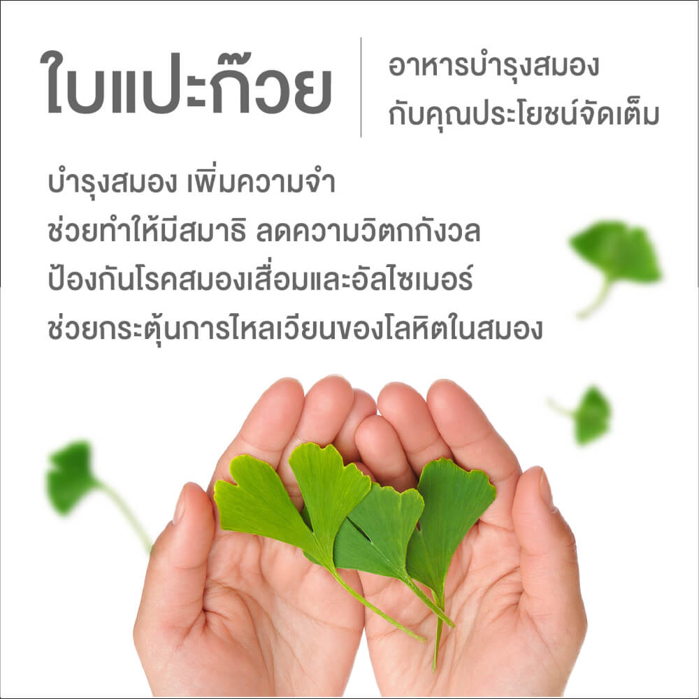 ผลิตภัณฑ์เสริมอาหาร INTERCARE แอคทีฟบี พลัส จิงโกะ (1 กระปุก : 30 เม็ด)