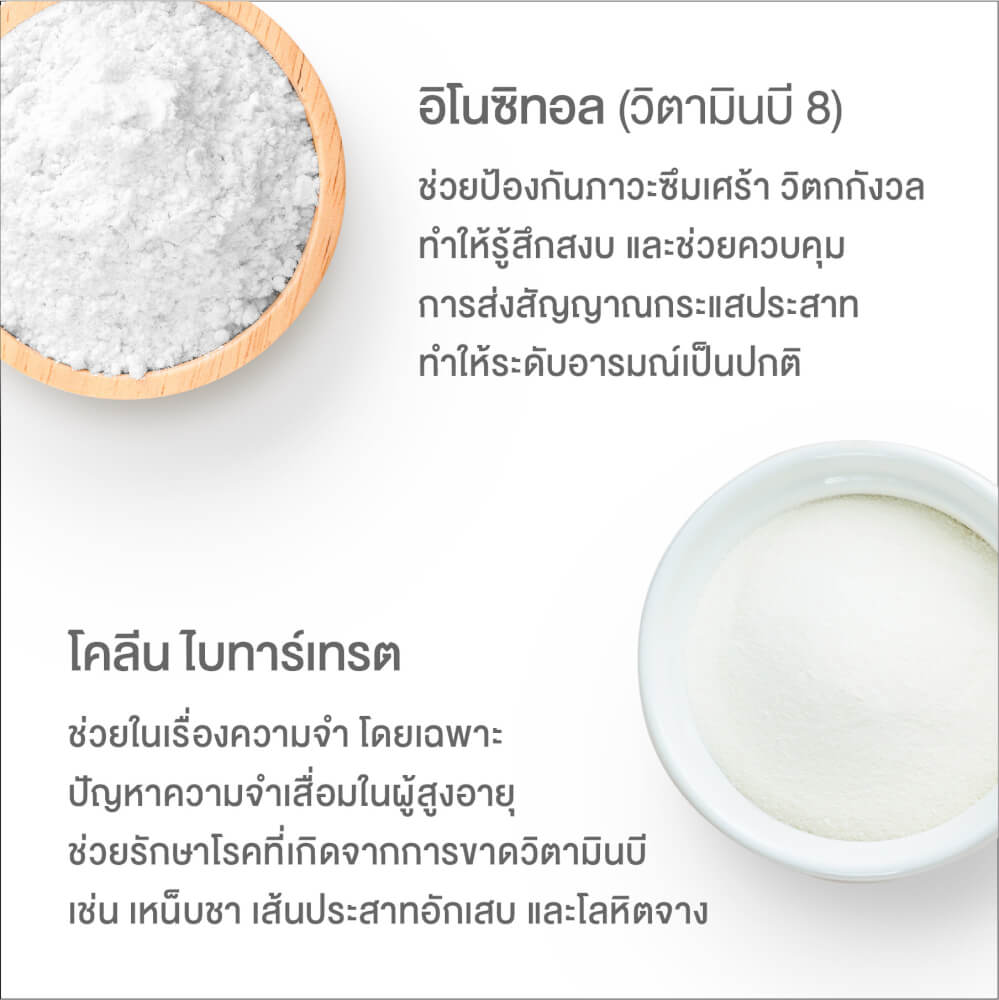 ผลิตภัณฑ์เสริมอาหาร INTERCARE แอคทีฟบี พลัส จิงโกะ (1 กระปุก : 30 เม็ด)
