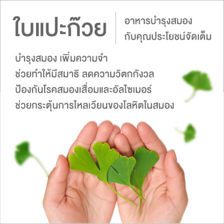 ผลิตภัณฑ์เสริมอาหาร INTERCARE แอคทีฟบี พลัส จิงโกะ (1 กระปุก : 30 เม็ด)_2