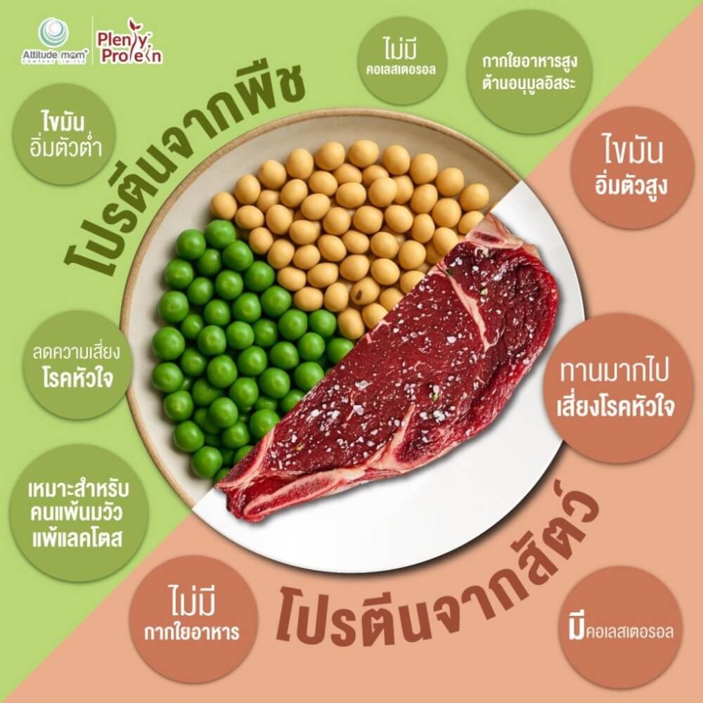 ผลิตภัณฑ์เสริมอาหารสำหรับแม่ PLENTITUDE PLENTY PROTEIN รสช็อกโกแลต 450 กรัม_1