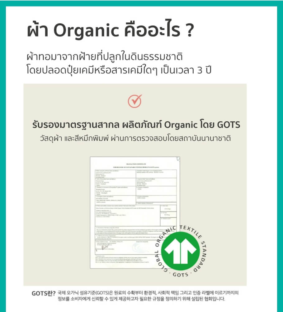 ผ้ารองที่นอน LIETO ลายหมีน้อย ไซส์ M