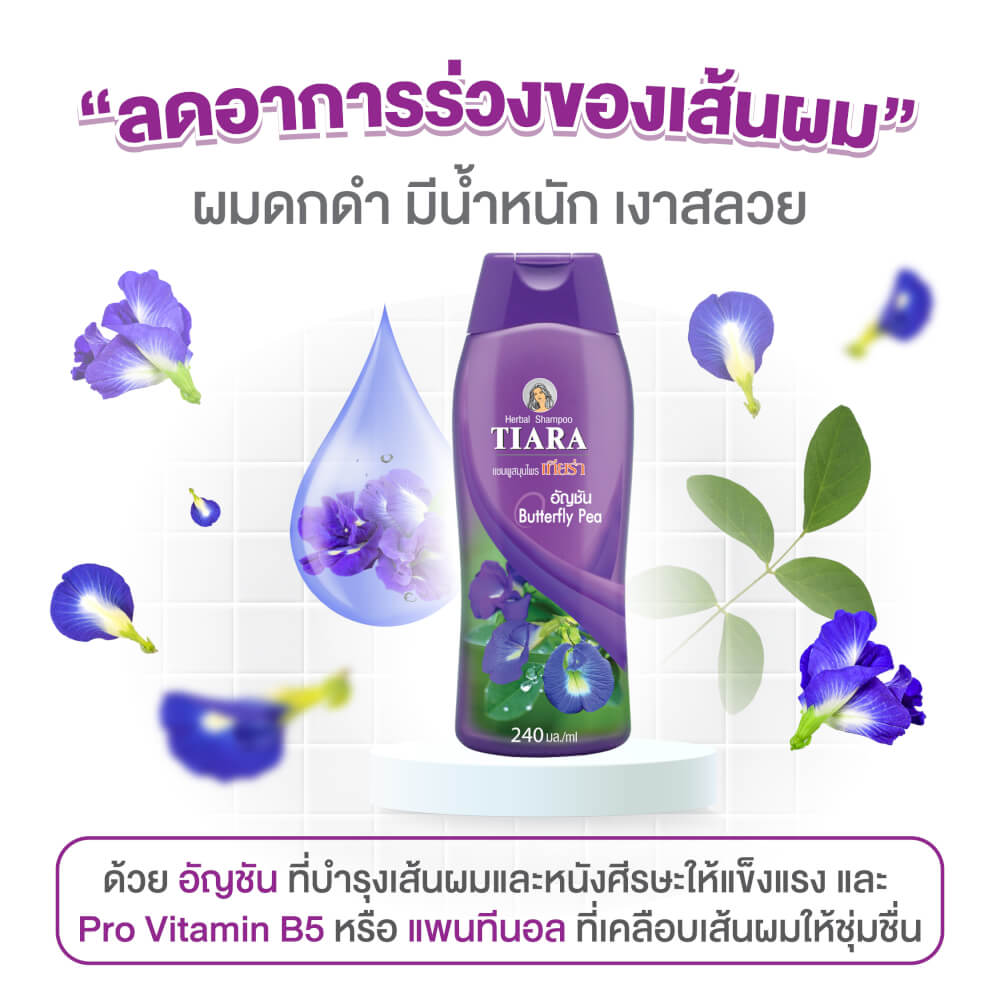แชมพูสมุนไพร TIARA อัญชัน 240 มล.+ครีมนวดผมสมุนไพรเทียร่า อัญชัน 160 มล.