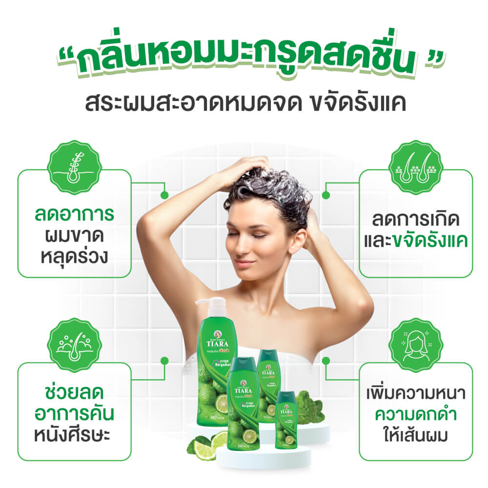 แชมพูสมุนไพร TIARA  มะกรูด 240 มล.+ครีมนวดผมสมุนไพรเทียร่า มะกรูด 160 มล.