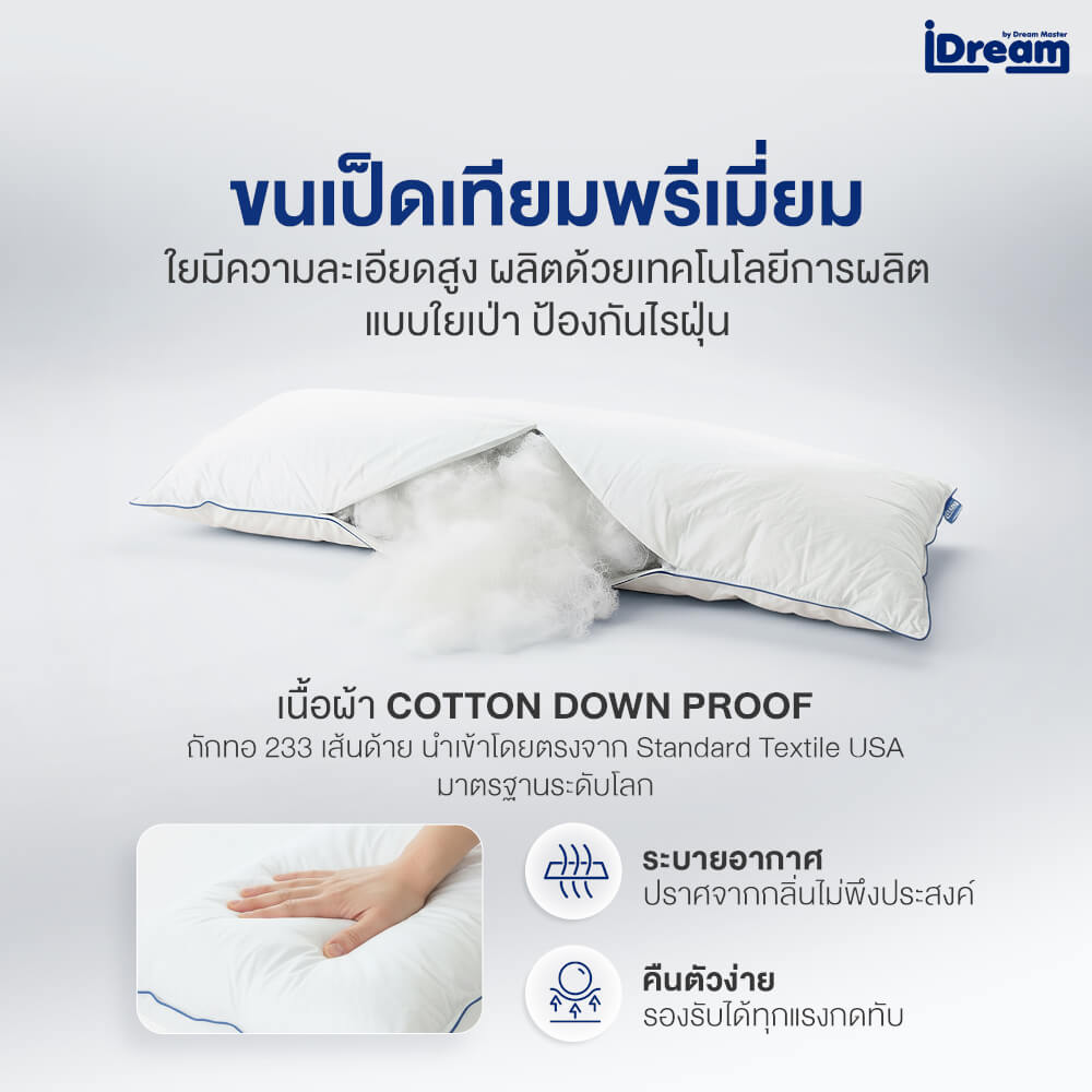 หมอนสุขภาพ IDREAM รุ่น IHUG BODY