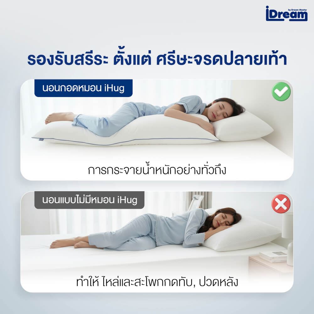 หมอนสุขภาพ IDREAM รุ่น IHUG BODY