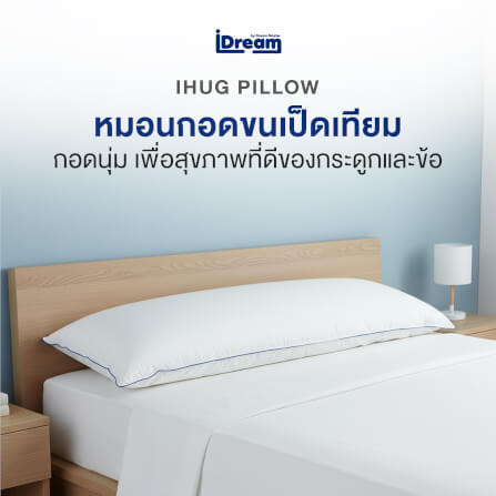 หมอนสุขภาพ IDREAM รุ่น IHUG BODY_1