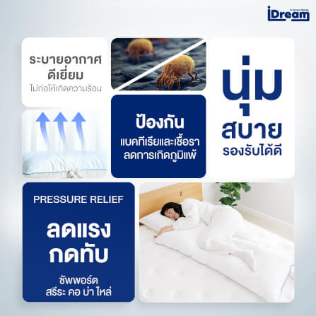 หมอนสุขภาพ IDREAM รุ่น IHUG BODY_3