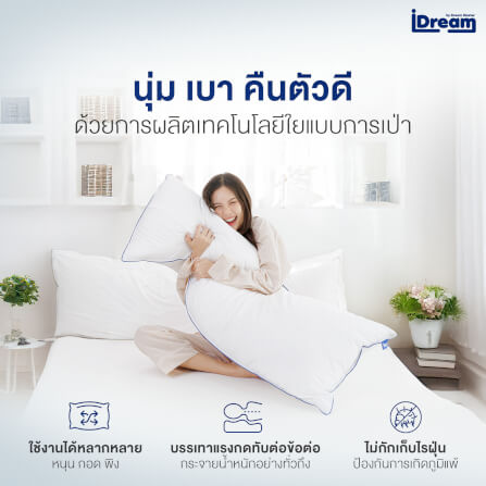 หมอนสุขภาพ IDREAM รุ่น IHUG BODY_4