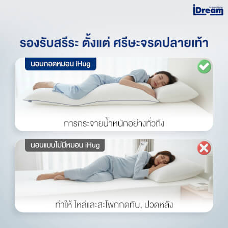 หมอนสุขภาพ IDREAM รุ่น IHUG BODY_7