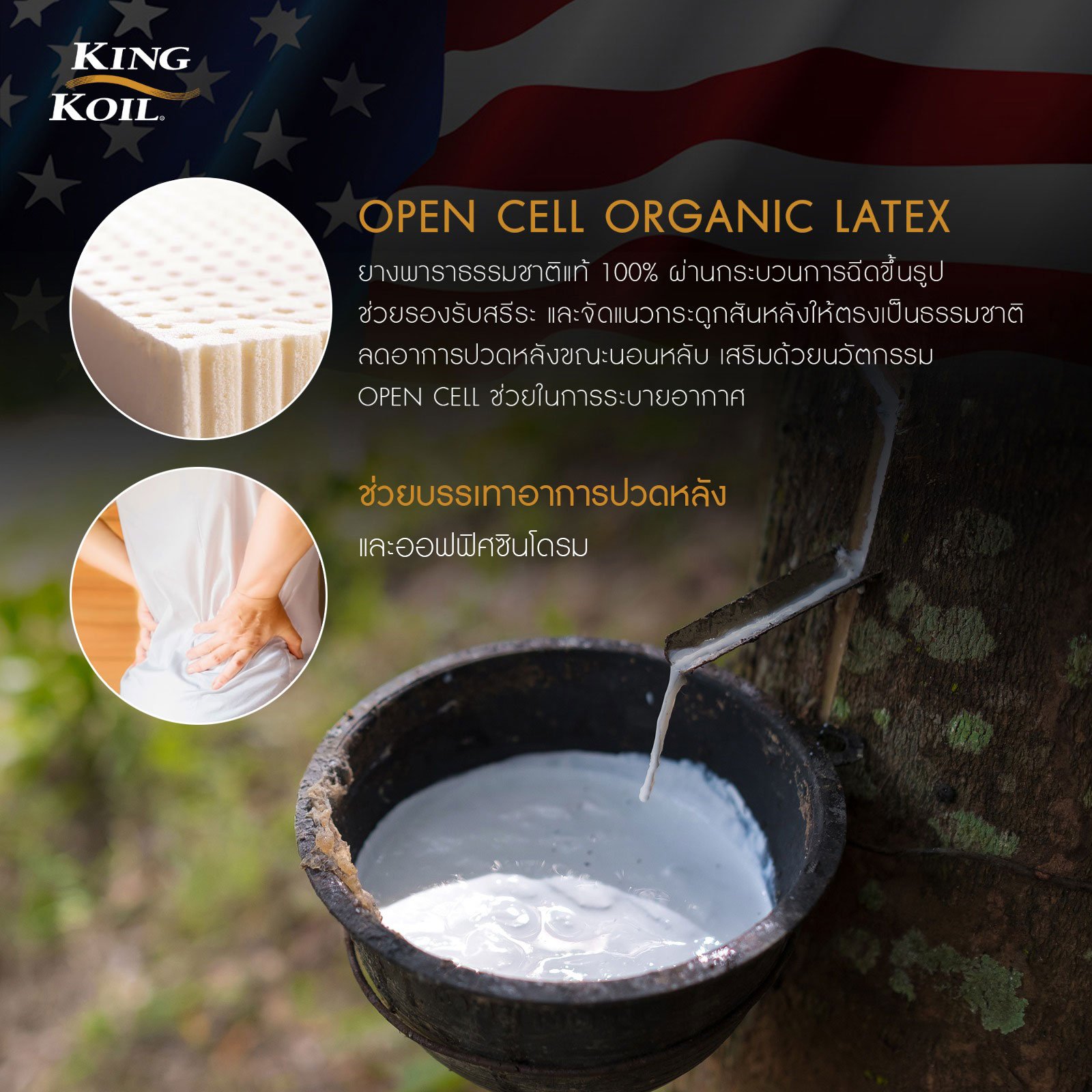 ที่นอน 3.5 ฟุต KINGKOIL GOLD_7
