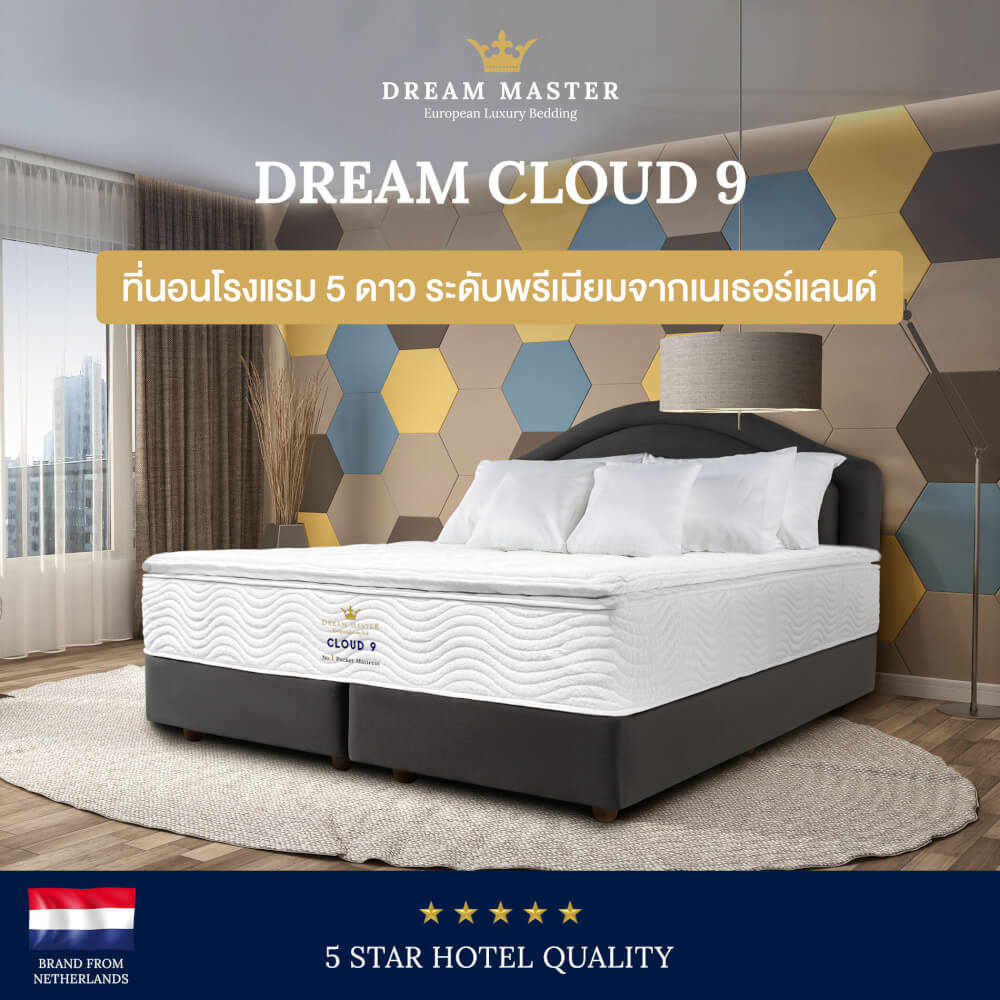 ที่นอน 6 ฟุต DREAM MASTER CLOUD 9