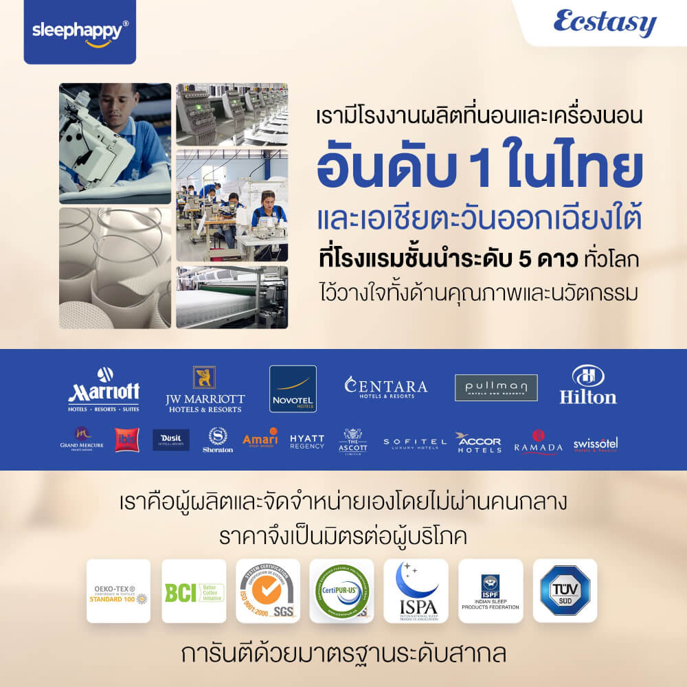 ที่นอน 5 ฟุต SLEEPHAPPY ECSTASY