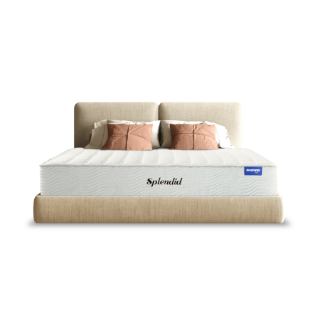 ที่นอน 3 ฟุต SLEEPHAPPY SPLENDID_0