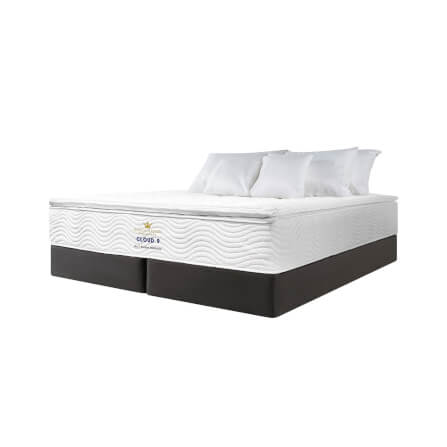 ที่นอน 3.5 ฟุต DREAM MASTER CLOUD 9_0