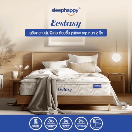 ที่นอน 5 ฟุต SLEEPHAPPY ECSTASY_1