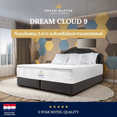 ที่นอน 6 ฟุต DREAM MASTER CLOUD 9_1