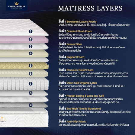 ที่นอน 5 ฟุต DREAM MASTER CLOUD 9_2