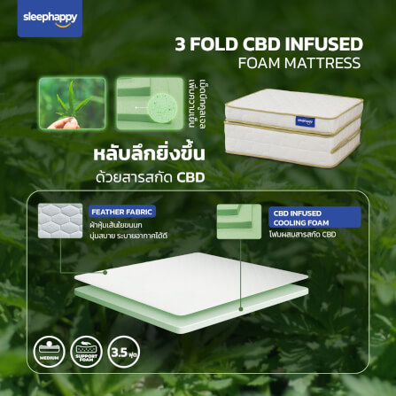 แผ่นรองนอน 3.5 ฟุต SLEEPHAPPY 3 FOLD CBD MATTRESS_2