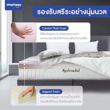 ที่นอน 3 ฟุต SLEEPHAPPY SPLENDID_3