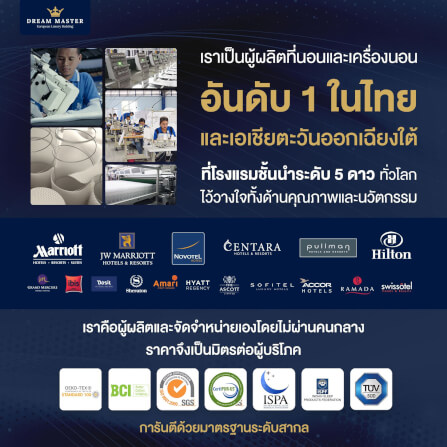 ที่นอน 6 ฟุต DREAM MASTER CLOUD 9_3