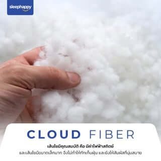 แผ่นรองนอน 5 ฟุต SLEEPHAPPY PICNIC MATTRESS_3