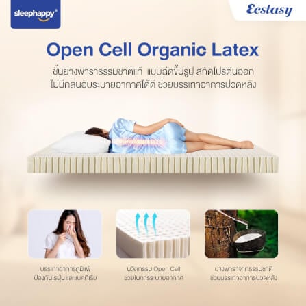 ที่นอน 6 ฟุต SLEEPHAPPY ECSTASY_6