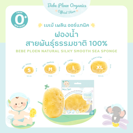 ฟองน้ำสายพันธุ์ธรรมชาติ 100% เบเบ้ เพลิน ออร์แกนิค (ขนาดใหญ่)_1