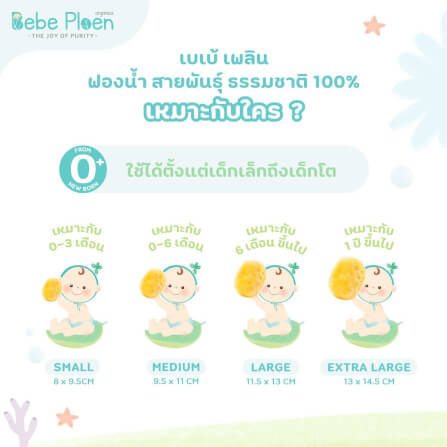ฟองน้ำสายพันธุ์ธรรมชาติ 100% เบเบ้ เพลิน ออร์แกนิค (ขนาดใหญ่พิเศษ)_2