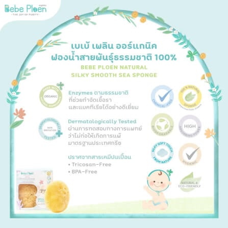 ฟองน้ำสายพันธุ์ธรรมชาติ 100% เบเบ้ เพลิน ออร์แกนิค (ขนาดใหญ่)_3