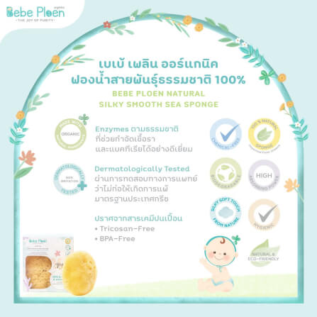 ฟองน้ำสายพันธุ์ธรรมชาติ 100% เบเบ้ เพลิน ออร์แกนิค (ขนาดใหญ่พิเศษ)_3
