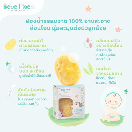 ฟองน้ำสายพันธุ์ธรรมชาติ 100% เบเบ้ เพลิน ออร์แกนิค (ขนาดใหญ่)_5