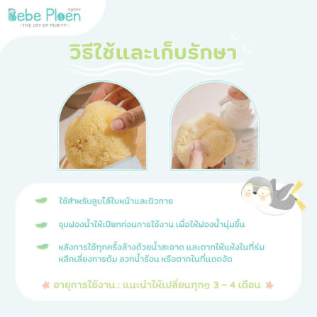 ฟองน้ำสายพันธุ์ธรรมชาติ 100% เบเบ้ เพลิน ออร์แกนิค (ขนาดใหญ่)_6