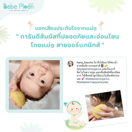 ฟองน้ำสายพันธุ์ธรรมชาติ 100% เบเบ้ เพลิน ออร์แกนิค (ขนาดใหญ่)_8