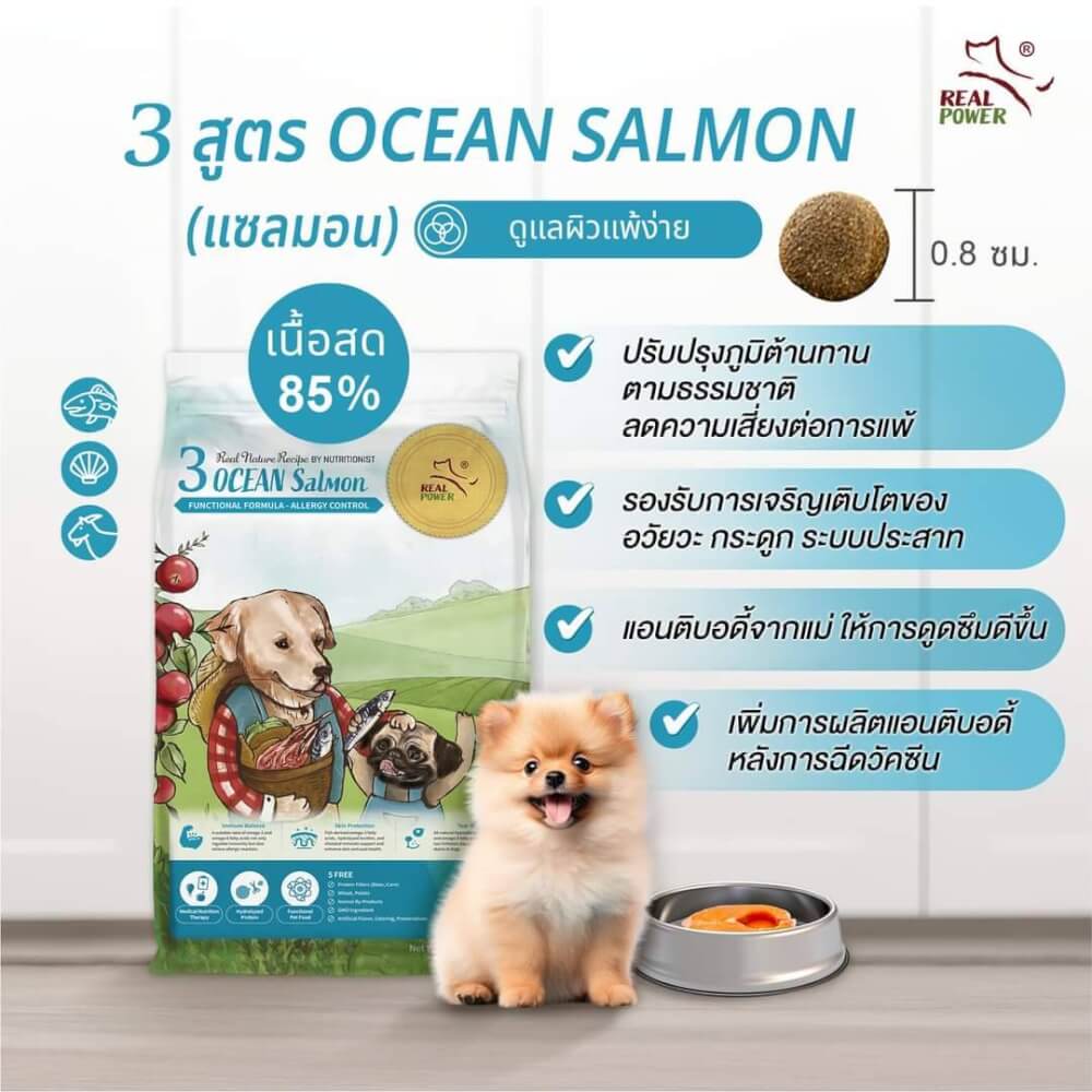 อาหารเม็ดสำหรับลูกสุนัข REAL POWER เกรดโฮลิสติก NO.3 สูตรแซลมอน 2 กก._1