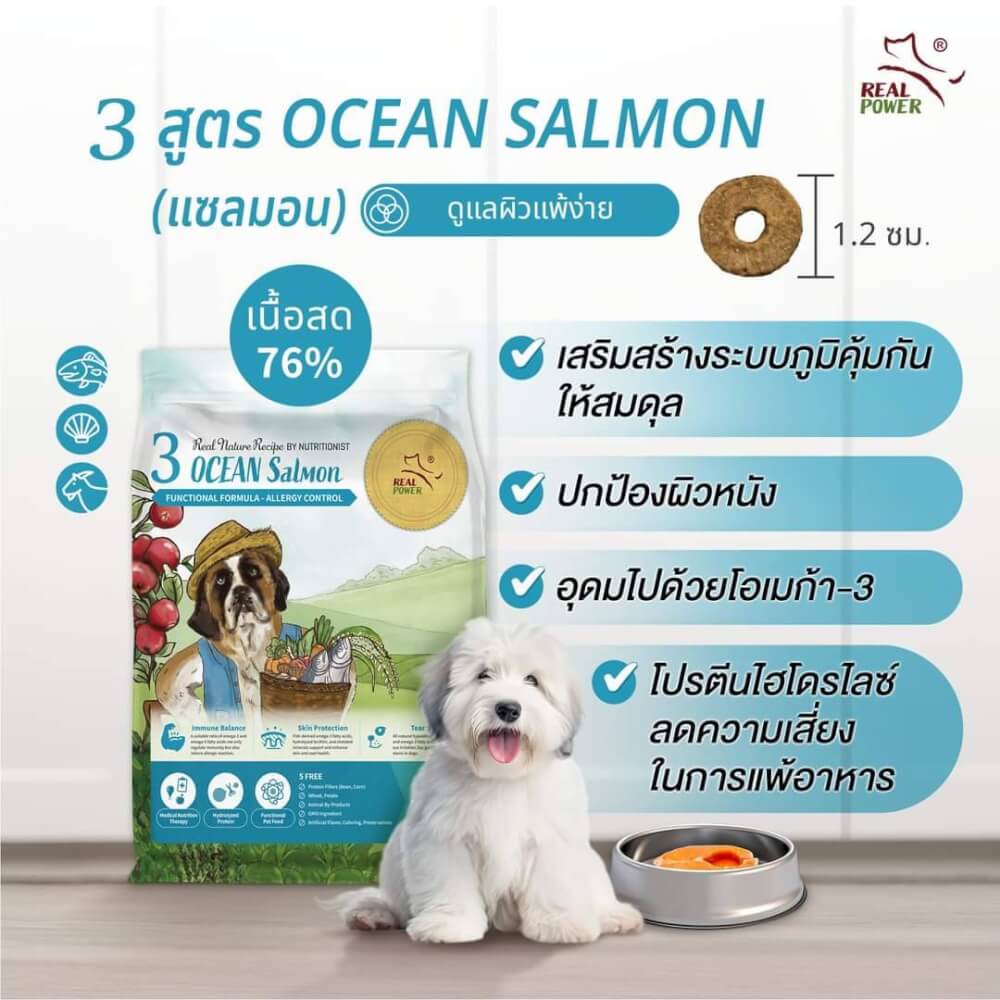 อาหารเม็ดสำหรับสุนัข REAL POWER เกรดโฮลิสติก NO.3 สูตรแซลมอน 4 กิโลกรัม_1