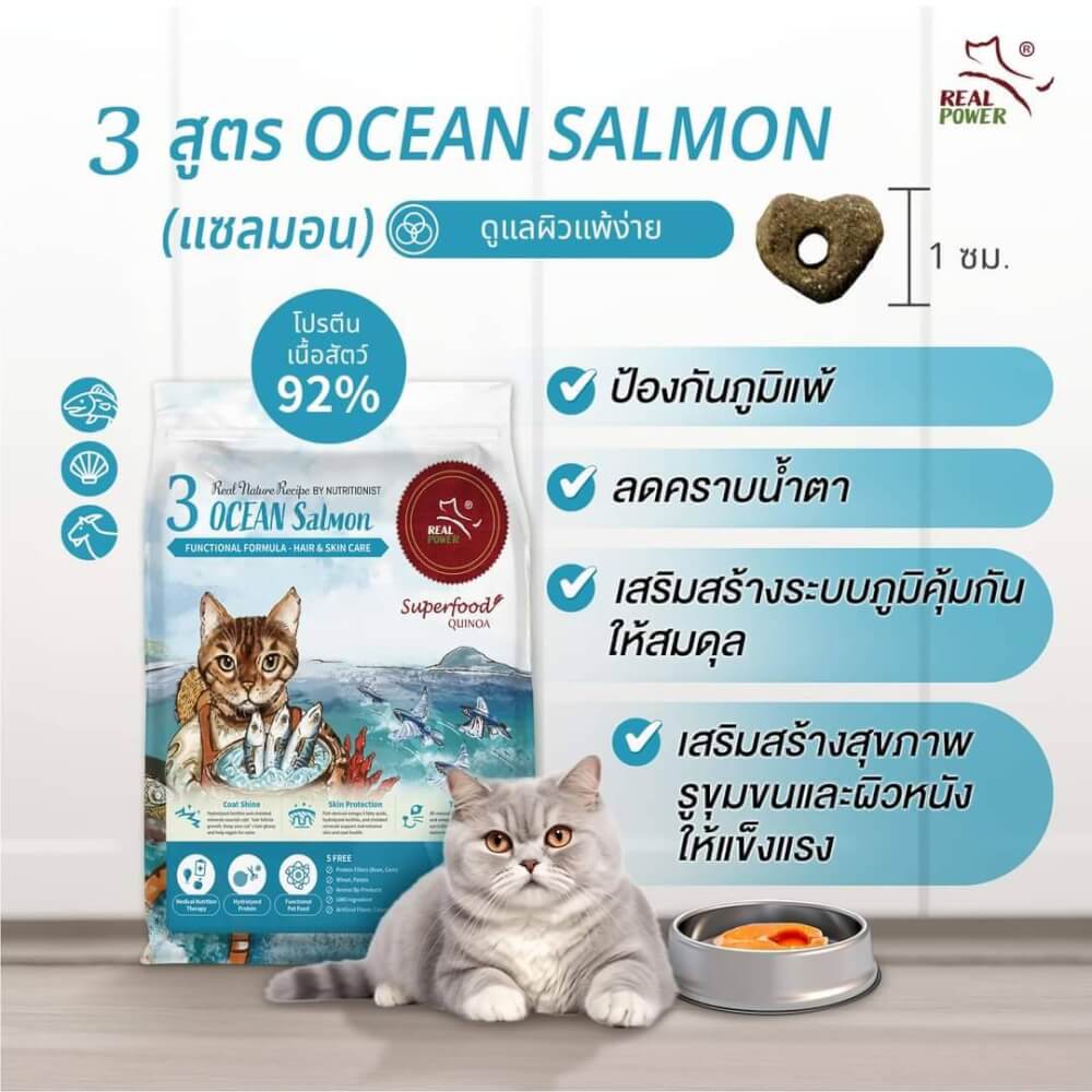 อาหารเม็ดสำหรับแมว REAL POWER เกรดโฮลิสติก NO.3 สูตรแซลมอน 10 กิโลกรัม_1