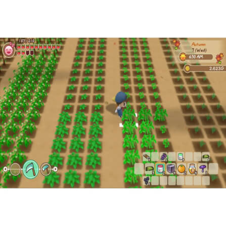 แผ่นเกม Nintendo Switch STORY OF SEASONS: Friends of Mineral Town ภาษาอังกฤษ _4